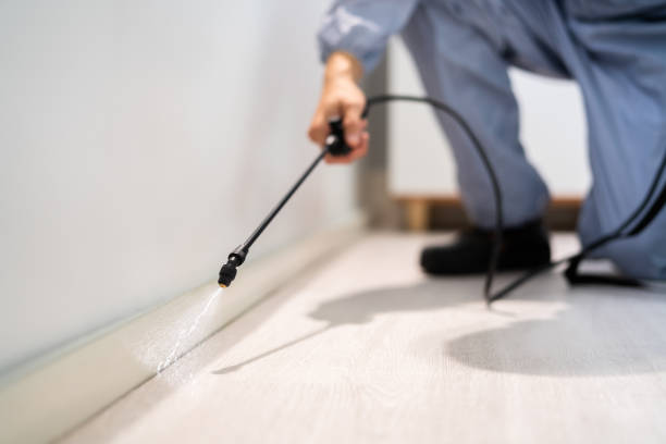 Licensed Fumigation Services service in Lovington, NM - Nex Pest Control