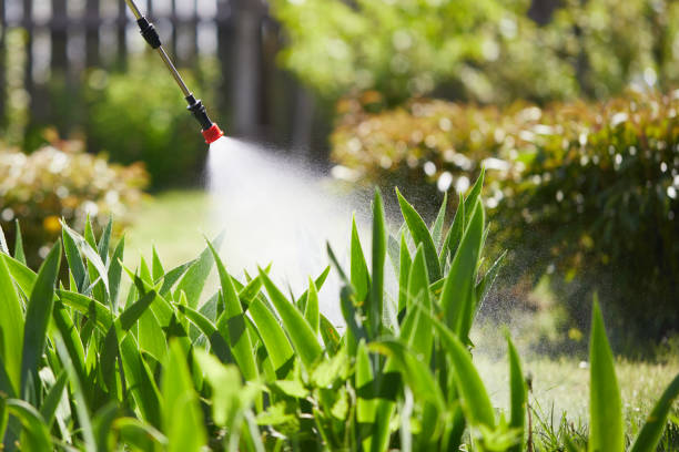 24/7 Emergency Fumigation Services experts in Lovington, NM