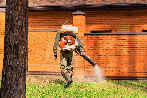 Trusted Rodent Control service in Lovington, NM - Nex Pest Control